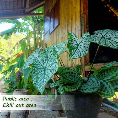Theppahrak Home Khaolak Као Лак Екстериор снимка